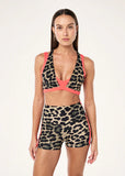 Unity Sports Bra - Leopard/Diva Pink
