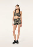 Vita Sports Bra - Leopard/Smokestone