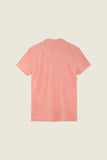 Terry Polo Shirt - New Pink